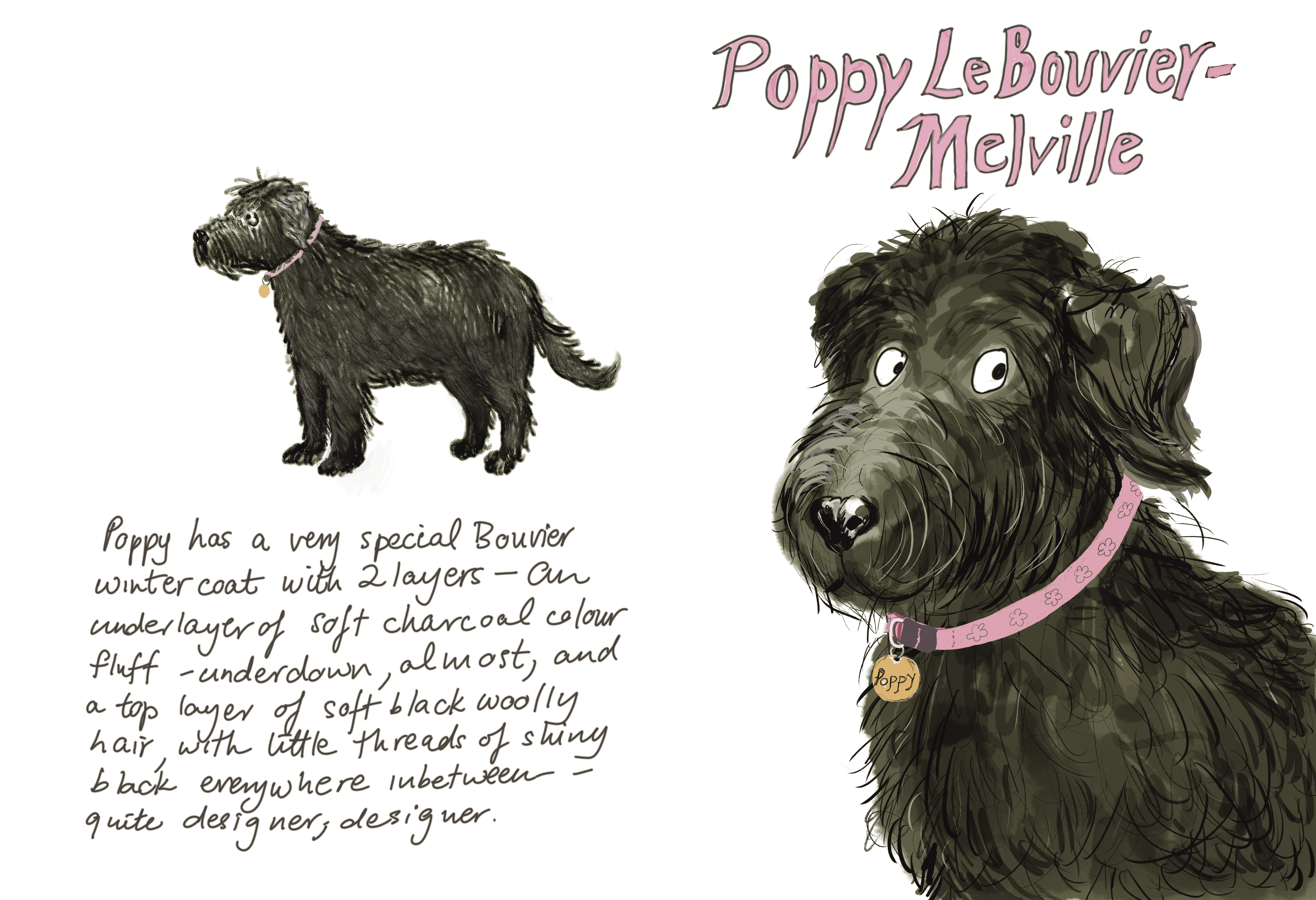 Poppy Le Bouvier-Melville